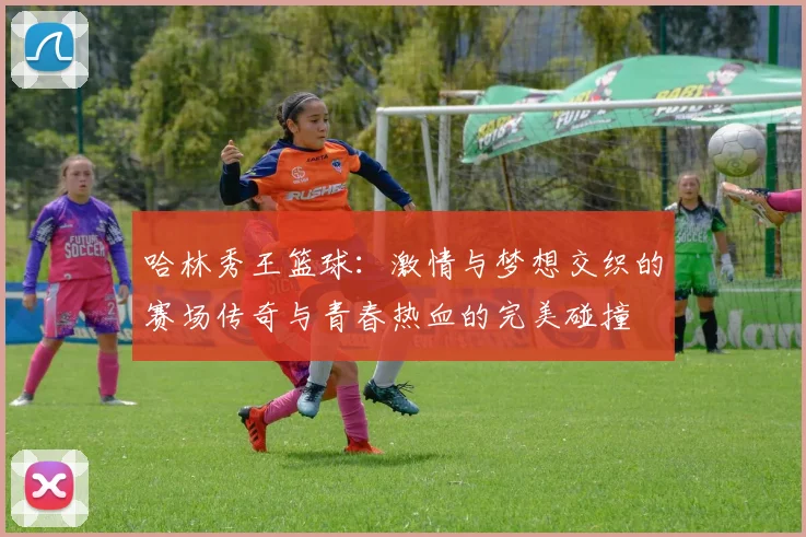 哈林秀王篮球：激情与梦想交织的赛场传奇与青春热血的完美碰撞