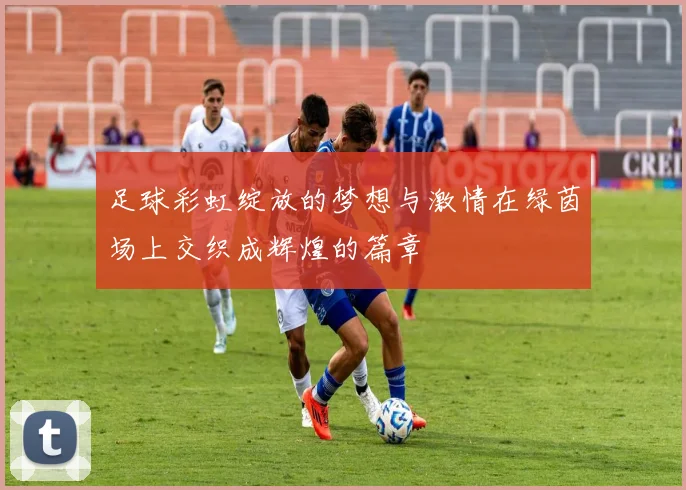 足球彩虹绽放的梦想与激情在绿茵场上交织成辉煌的篇章