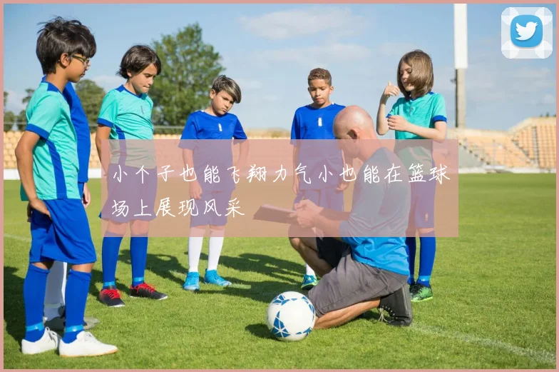 小个子也能飞翔力气小也能在篮球场上展现风采