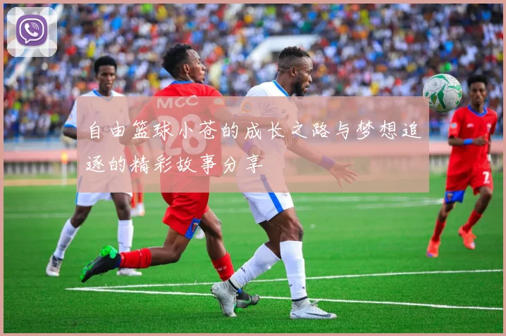 自由篮球小苍的成长之路与梦想追逐的精彩故事分享