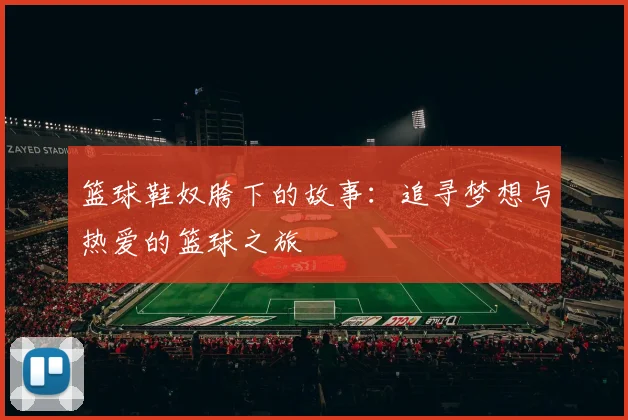 篮球鞋奴胯下的故事：追寻梦想与热爱的篮球之旅